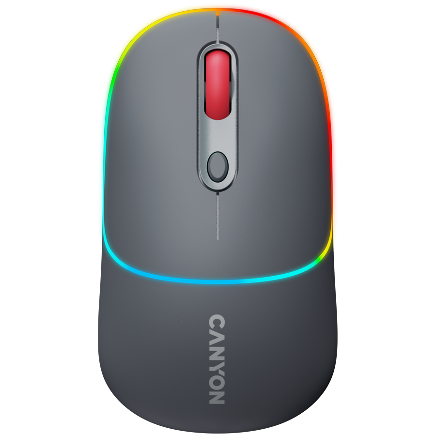 CANYON mouse MW-22 2in1 BT/ Wireless Dark Grey